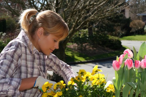 A woman wearing a plaid shirt and gardening gloves is tending to a flower bed in a front garden, where bright yellow and pink tulips are blooming. The garden features a neatly maintained lawn with lush green grass, bordered by flowering plants and shrubs. In the background, there are tall trees with leafless branches, suggesting early spring, and a paved pathway running alongside the garden. The scene is well-lit by natural sunlight, highlighting the vivid colours of the flowers and the greenery. This outdoor space, situated in Aldgate, showcases a tidy and vibrant landscaped yard that could be maintained by professional gardening services such as Garden Maintenance Aldgate to enhance its natural beauty. The garden layout emphasizes a combination of floral borders and open grassy areas, with the gardener actively involved in flower care.