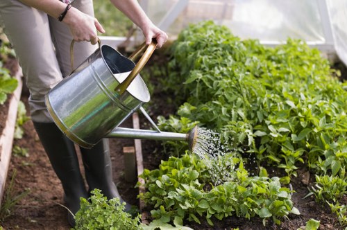 In a well-maintained garden, a person is watering vibrant green vegetable plants with a silver metal watering can, standing on a soil bed bordered by lush foliage. The garden features neatly arranged rows of leafy greens, possibly lettuce or similar vegetables, with healthy, dense growth. In the background, there are taller plants, which could be young tomato or pepper plants, supported by stakes or natural growth. The soil appears moist and rich, with small pebbles and organic matter visible on the surface. The garden is situated in a sheltered outdoor space, possibly within a greenhouse or a conservatory, as suggested by the faint translucent structure in the background letting in natural light. The scene depicts a clean and organized urban or suburban garden setting, aligning with outdoor gardening services offered by Garden Maintenance Aldgate, emphasizing nurturing edible plants through attentive watering and garden care in the local area near Aldgate, London.